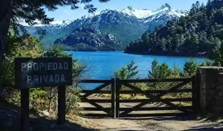 imagen del articulo