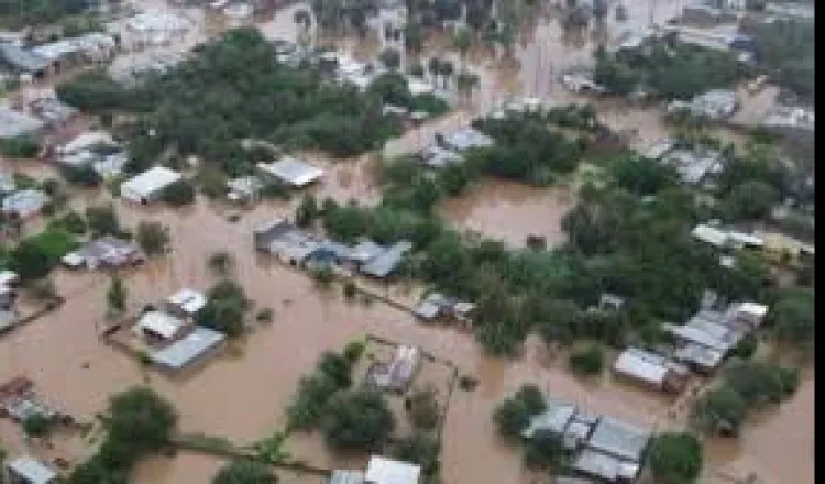 imagen del articulo