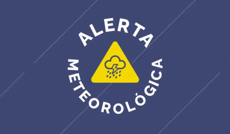 imagen del articulo