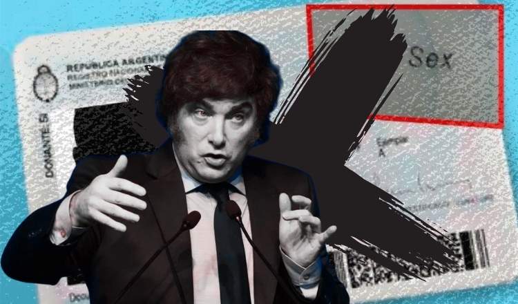 imagen del articulo
